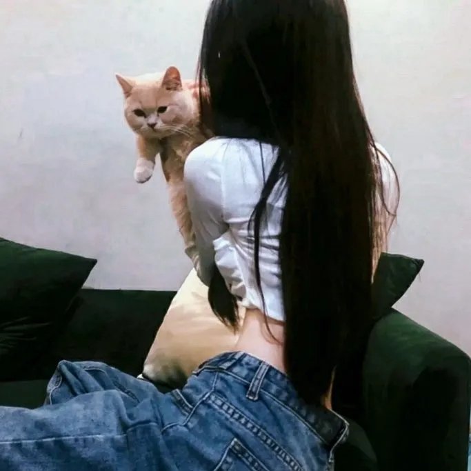 孖生老虎